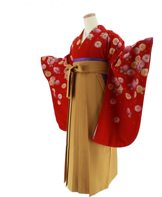 卒業式袴レンタルNo.558[2Lサイズ][シンプル]赤・オレンジ紫の菊